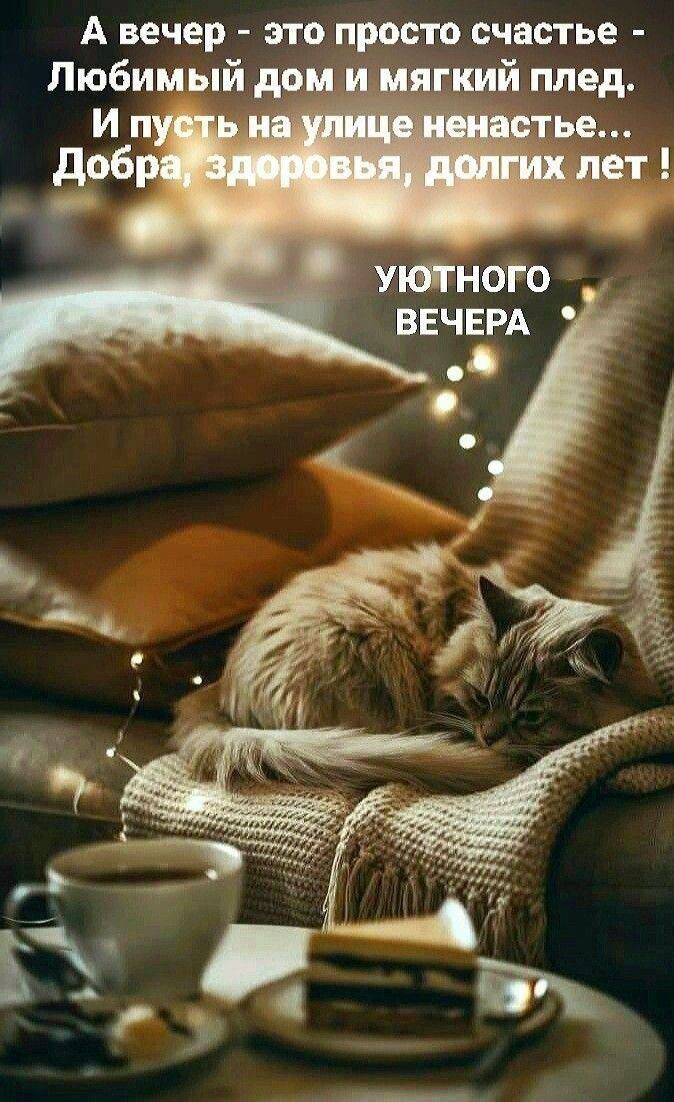 А вечер - это просто счастье - Любимый дом и мягкий плед. И пусть на улице ненастье... Добра, здоровья, долгих лет! УЮТНОГО ВЕЧЕРА