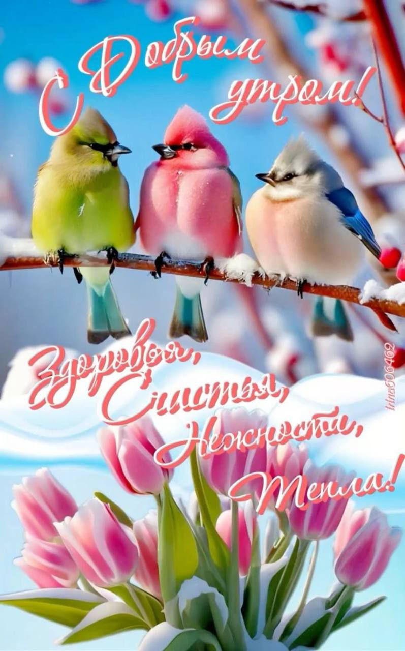 Добрым утром! Здоровья, счастья, нежности, тепла!