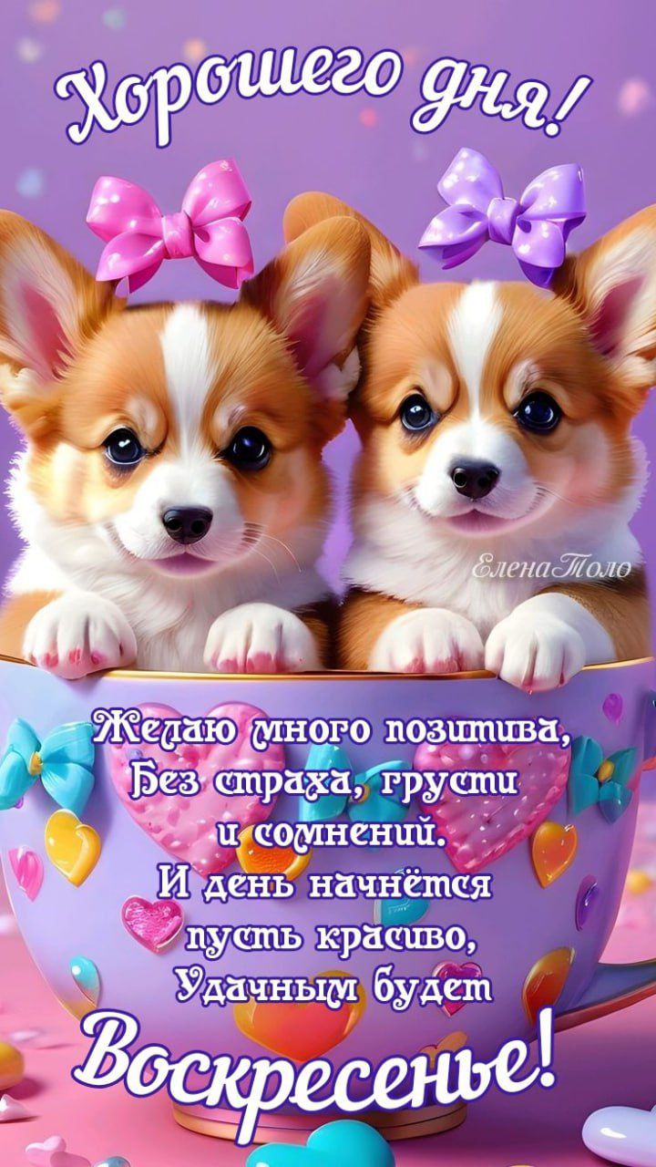 Хорошего дня! Елена Поло Желаю много позитива, Без страха, грусти и сомнений. И день начнётся пусть красиво, Удачным будет Воскресенье!