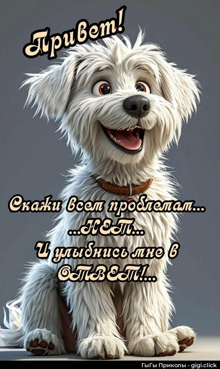 Привет! Скажи всем проблемам... НЕТ... И улыбнись мне в ОТВЕТ!...