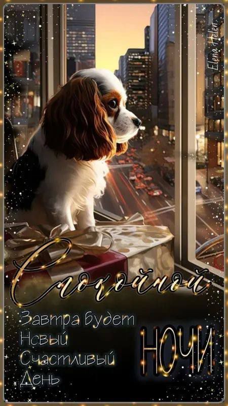 Спокойной ночи. Завтра будет Новый Счастливый День.