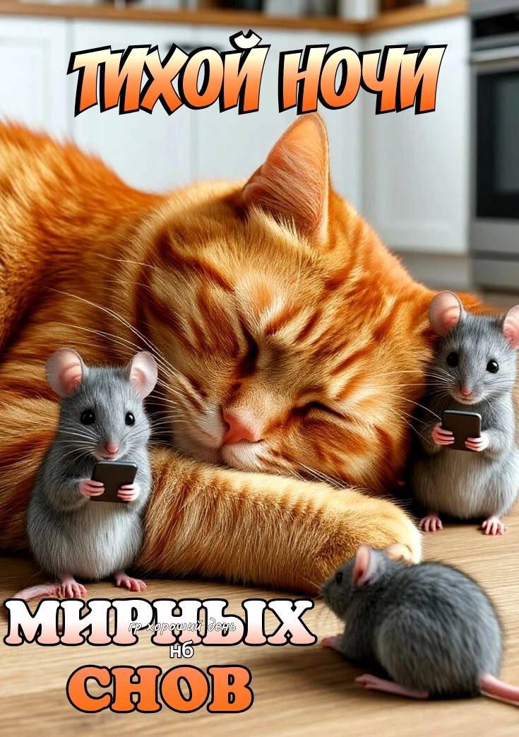 ТИХОЙ НОЧИ МИРНЫХ СНОВ