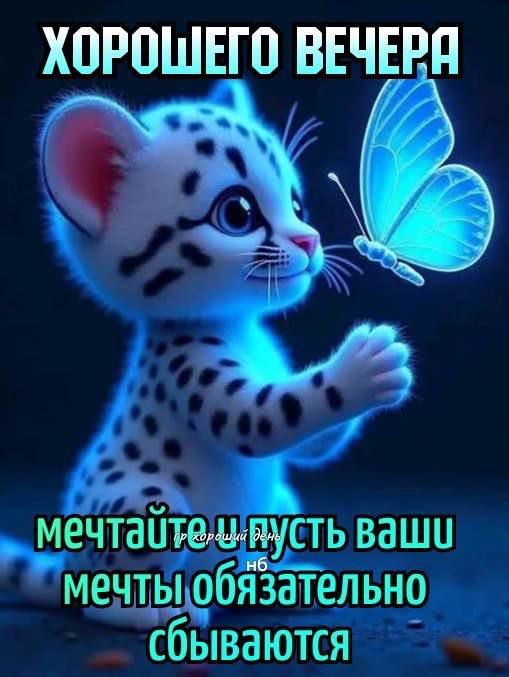ХОРОШЕГО ВЕЧЕРА МЕЧТАЙТЕ И ПУСТЬ ВАШИ МЕЧТЫ ОБЯЗАТЕЛЬНО СБЫВАЮТСЯ