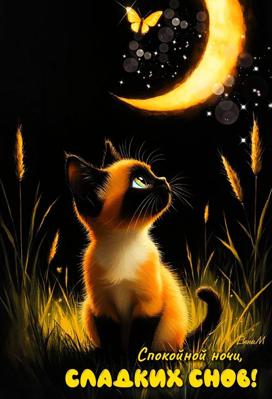 Спокойной ночи, СЛАДКИХ СНОВ! ElenaM