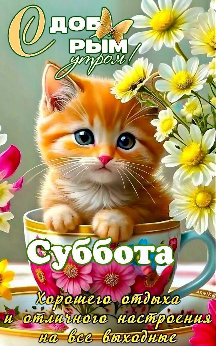 Добрым утром! Суббота. Хорошего отдыха и отличного настроения на все выходные.