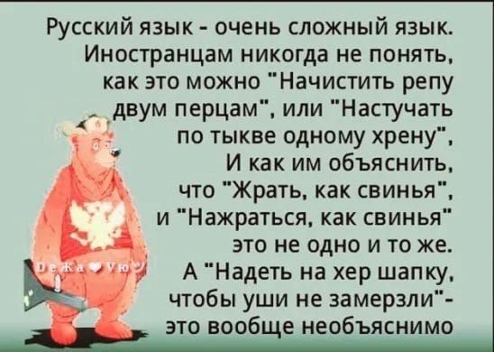 Русский язык - очень сложный язык. Иностранцам никогда не понять, как это можно 