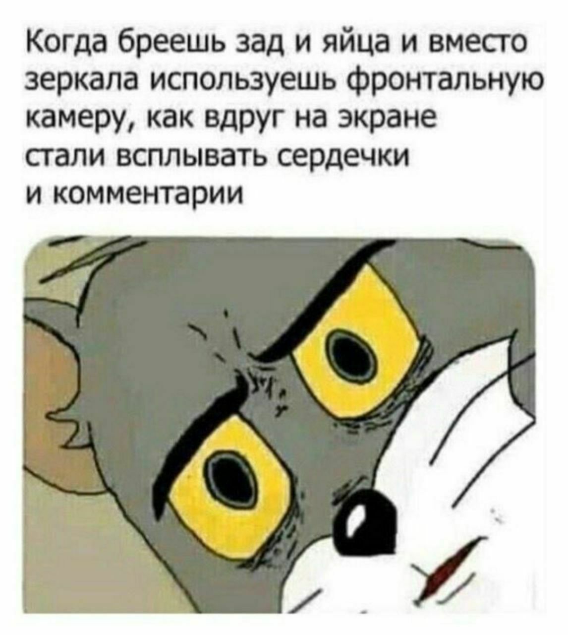 Когда бреешь зад и яйца и вместо зеркала используешь фронтальную камеру, как вдруг на экране стали всплывать сердечки и комментарии