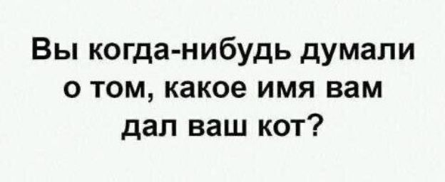 Вы когда-нибудь думали о том, какое имя вам дал ваш кот?