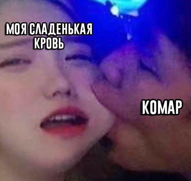 МОЯ СЛАДЕНЬКАЯ КРОВЬ
КОМАР