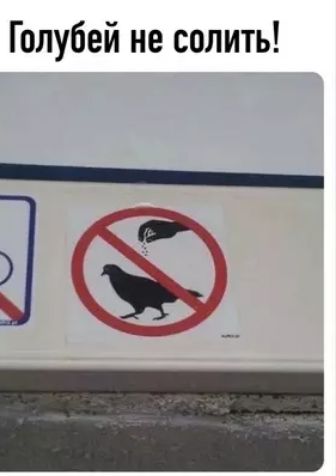 Голубей не солить!