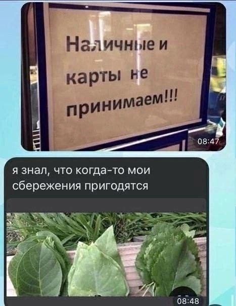 Наличные и карты не принимаем!!! я знал, что когда-то мои сбережения пригодятся
