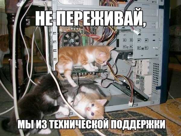 НЕ ПЕРЕЖИВАЙ, МЫ ИЗ ТЕХНИЧЕСКОЙ ПОДДЕРЖКИ
