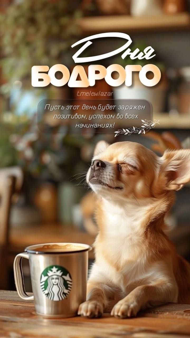 Дня БОДРОГО t.me/lewlazar Пусть этот день будет заряжен позитивом, успехом во всех начинаниях!