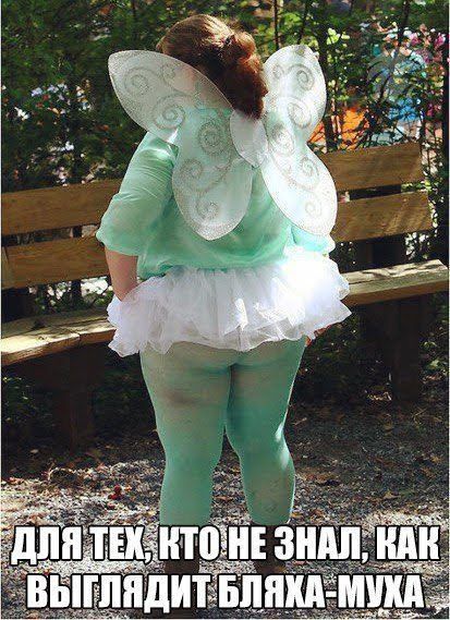 ДЛЯ ТЕХ, КТО НЕ ЗНАЛ, КАК ВЫГЛЯДИТ БЛЯХА- МУХА