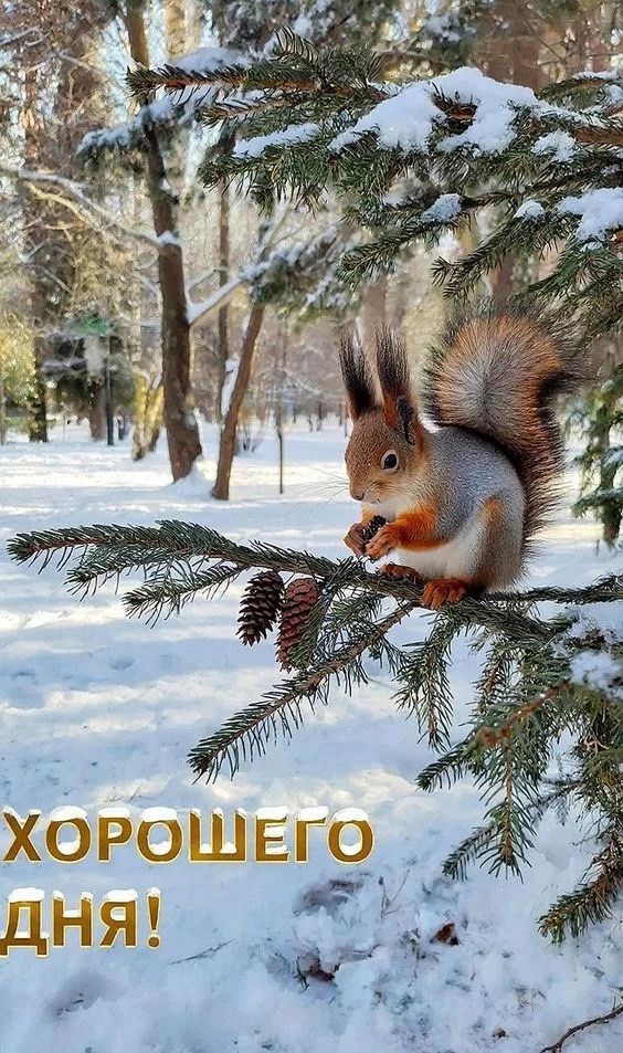 ХОРОШЕГО ДНЯ!