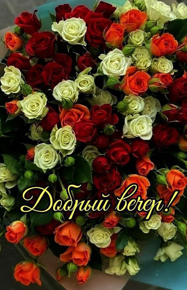 Добрый вечер!