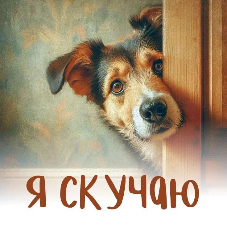 Я скучаю