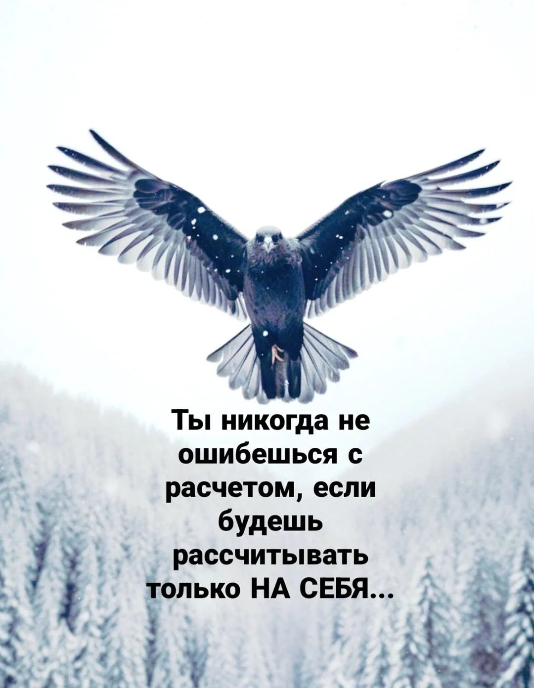 Ты никогда не ошибешься с расчетом, если будешь рассчитывать только НА СЕБЯ...