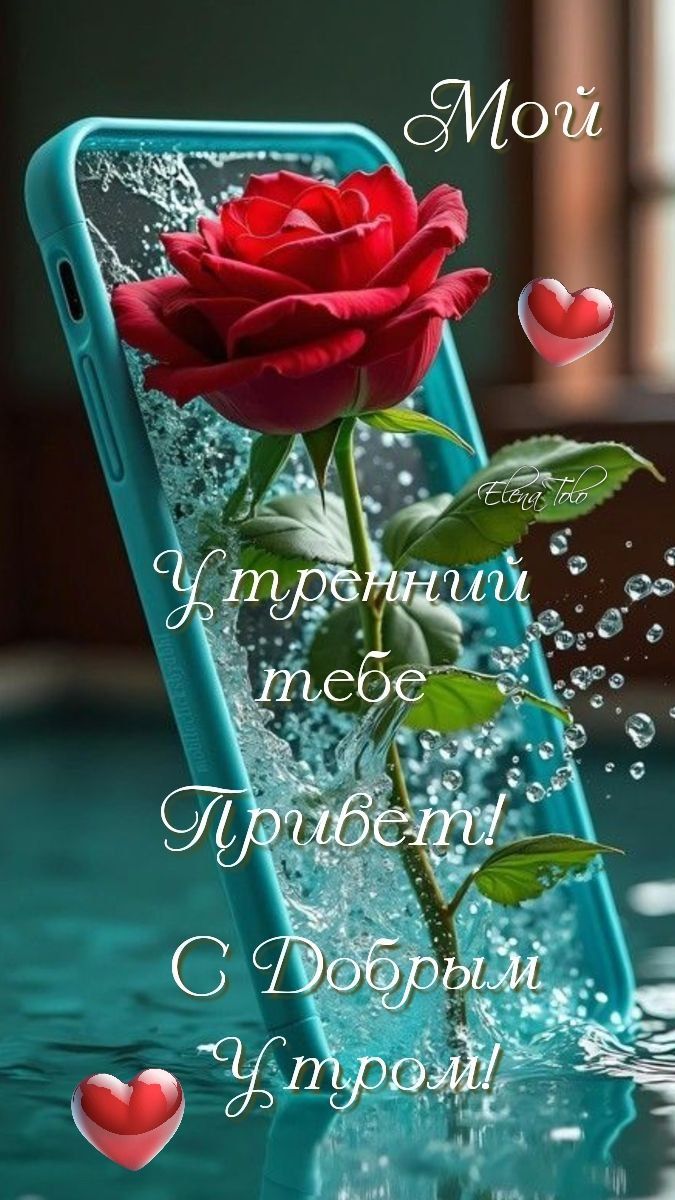 Мой Утренний тебе Привет! С Добрым Утром!