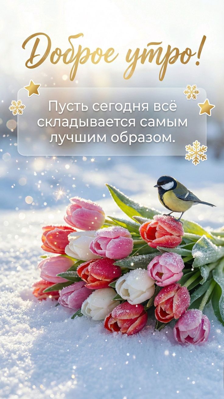 Доброе утро! Пусть сегодня всё складывается самым лучшим образом.