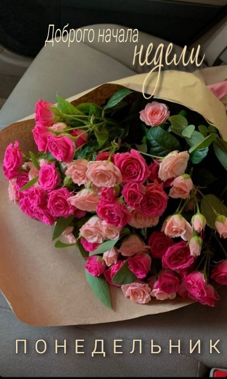 Доброго начала недели ПОНЕДЕЛЬНИК