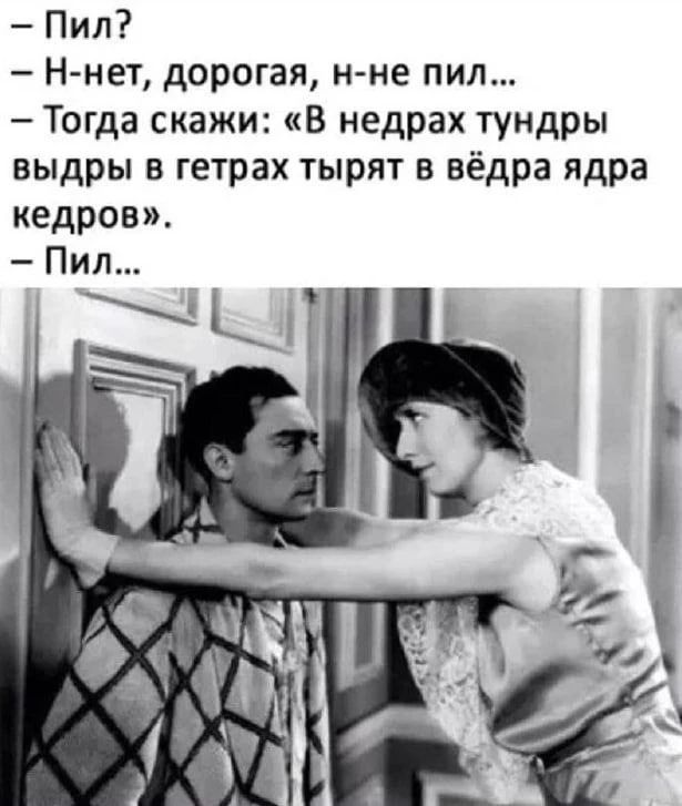 — Пил?\n— Н-нет, дорогая, н-не пил...\n— Тогда скажи: «В недрах тундры выдры в тетрах тырят в ведра ядра кедров».\n— Пил…
