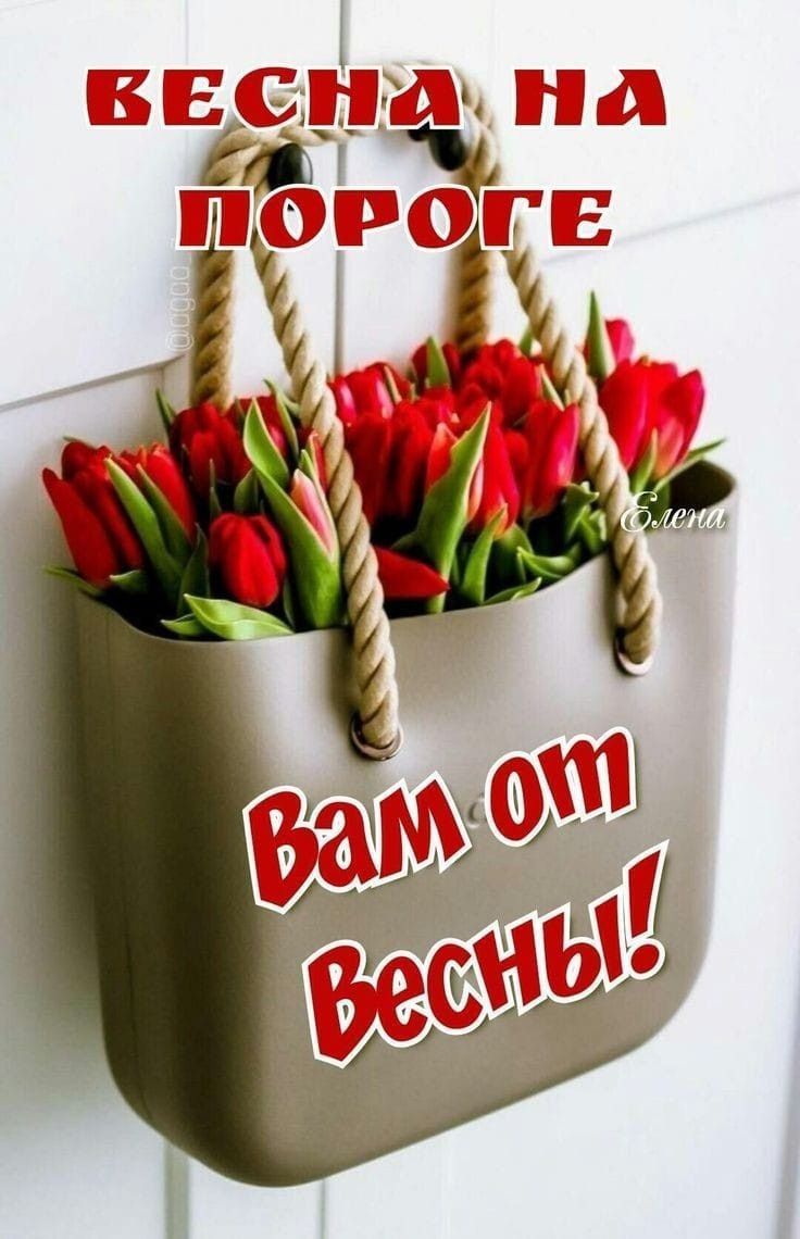 Весна на пороге
Вам от весны!