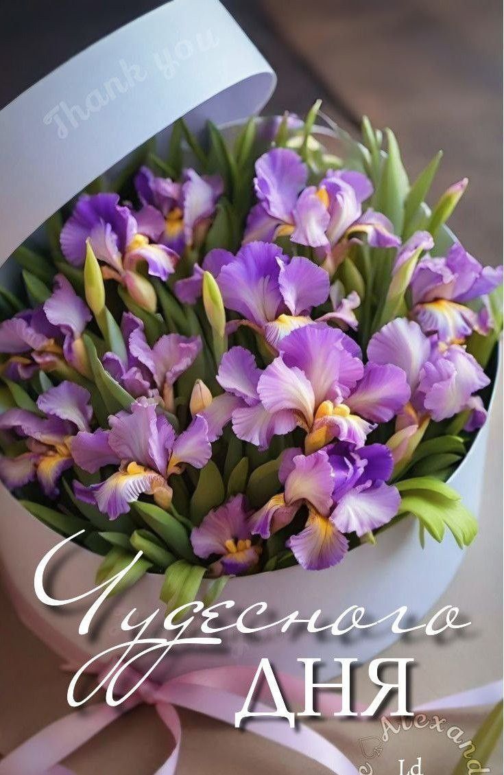 Thank you • Чудесного дня