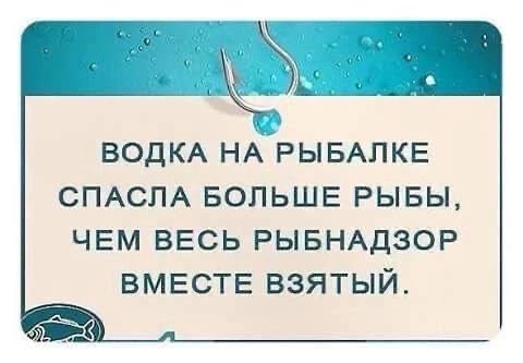 Водка на рыбалке спасла больше рыбы, чем весь рыбалнадзор вместе взятый.