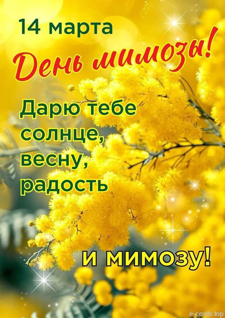 14 марта День мимозы! Дарю тебе солнце, весну, радость и мимозу!