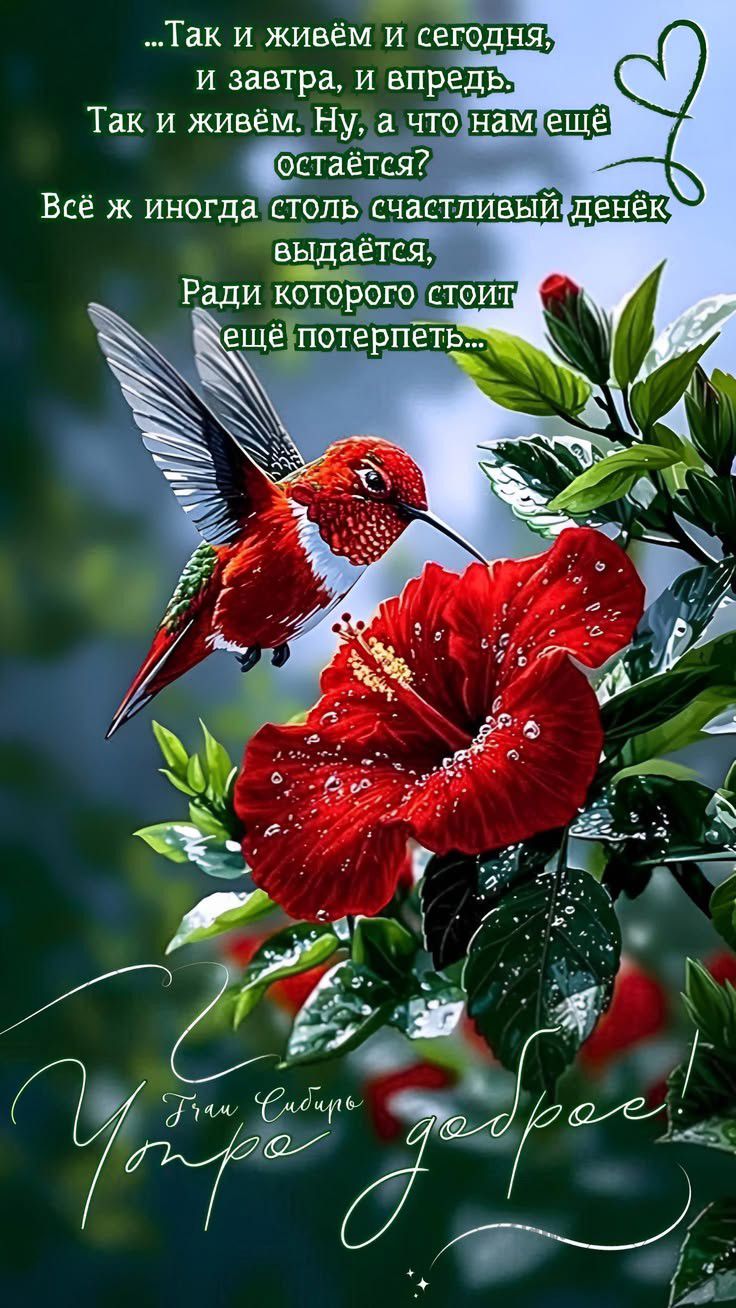 Так и живём и сегодня, и завтра, и впредь. Так и живём. Ну, а что нам ещё остаётся? Всё ж иногда столь счастливый денёк выдается, Ради которого стоит ещё потерпеть... Утро доброе!