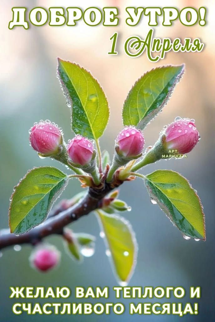 ДОБРОЕ УТРО! 1 Апреля ЖЕЛАЮ ВАМ ТЕПЛОГО И СЧАСТЛИВОГО МЕСЯЦА!