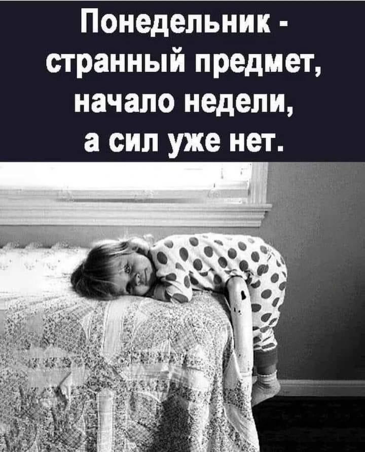 Понедельник - странный предмет, начало недели, а сил уже нет.