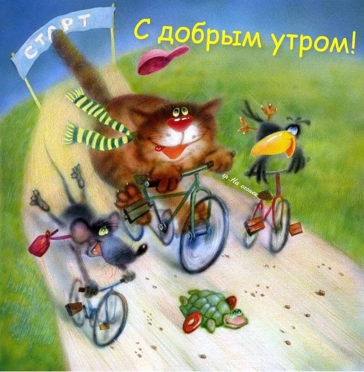 СТАРТ С добрым утром!