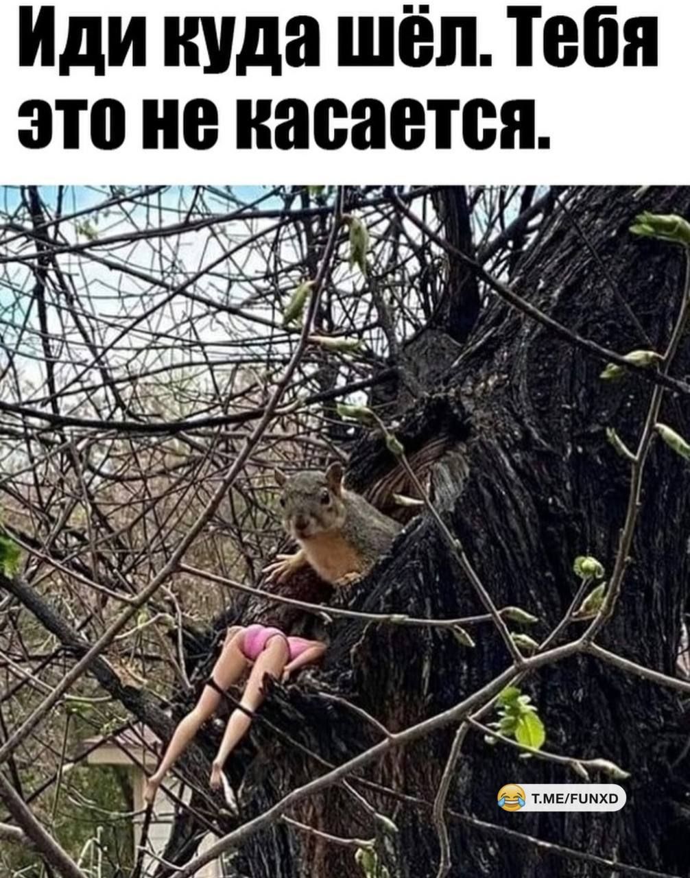 Иди куда шёл. Тебя это не касается.