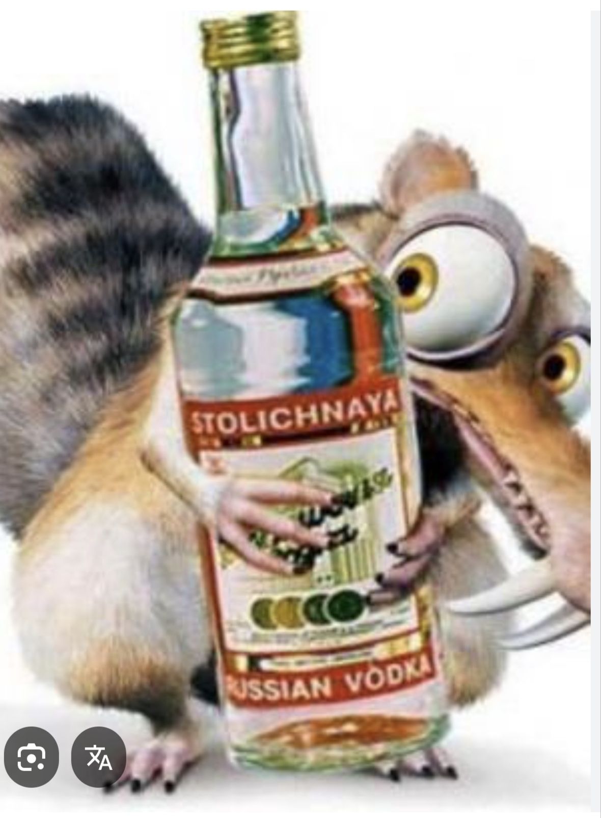 STOLICHNAYA RUSSIAN VODKA