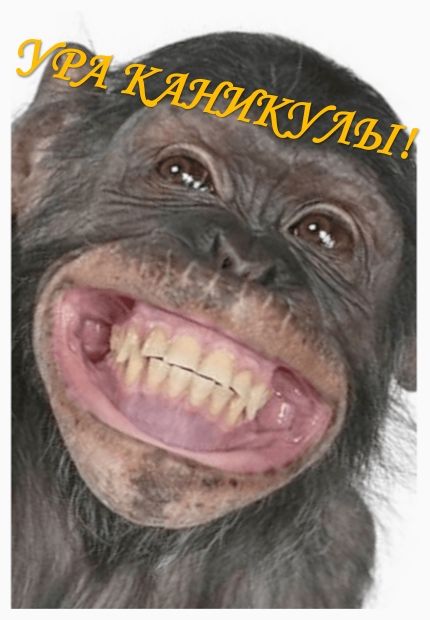 УРА КАНИКУЛЫ!