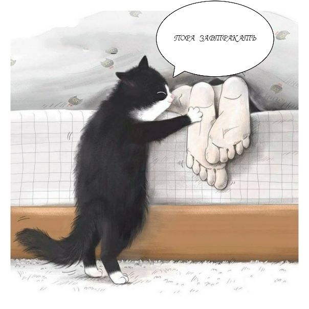 ПОРА ЗАВТРАКАТЬ