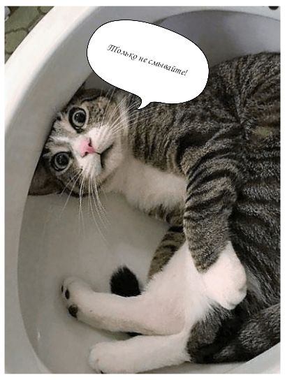 Только не смывайте!