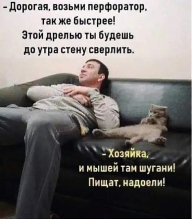 - Дорогая, возьми перфоратор, так же быстрее! Этой дрелью ты будешь до утра стену сверлить.
- Хозяйка, и мышей там шугани! Пищат, надоели!