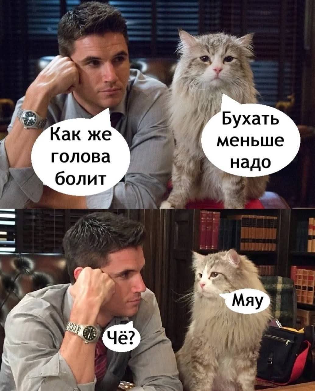 Как же голова болит
Бухать меньше надо
Чё?