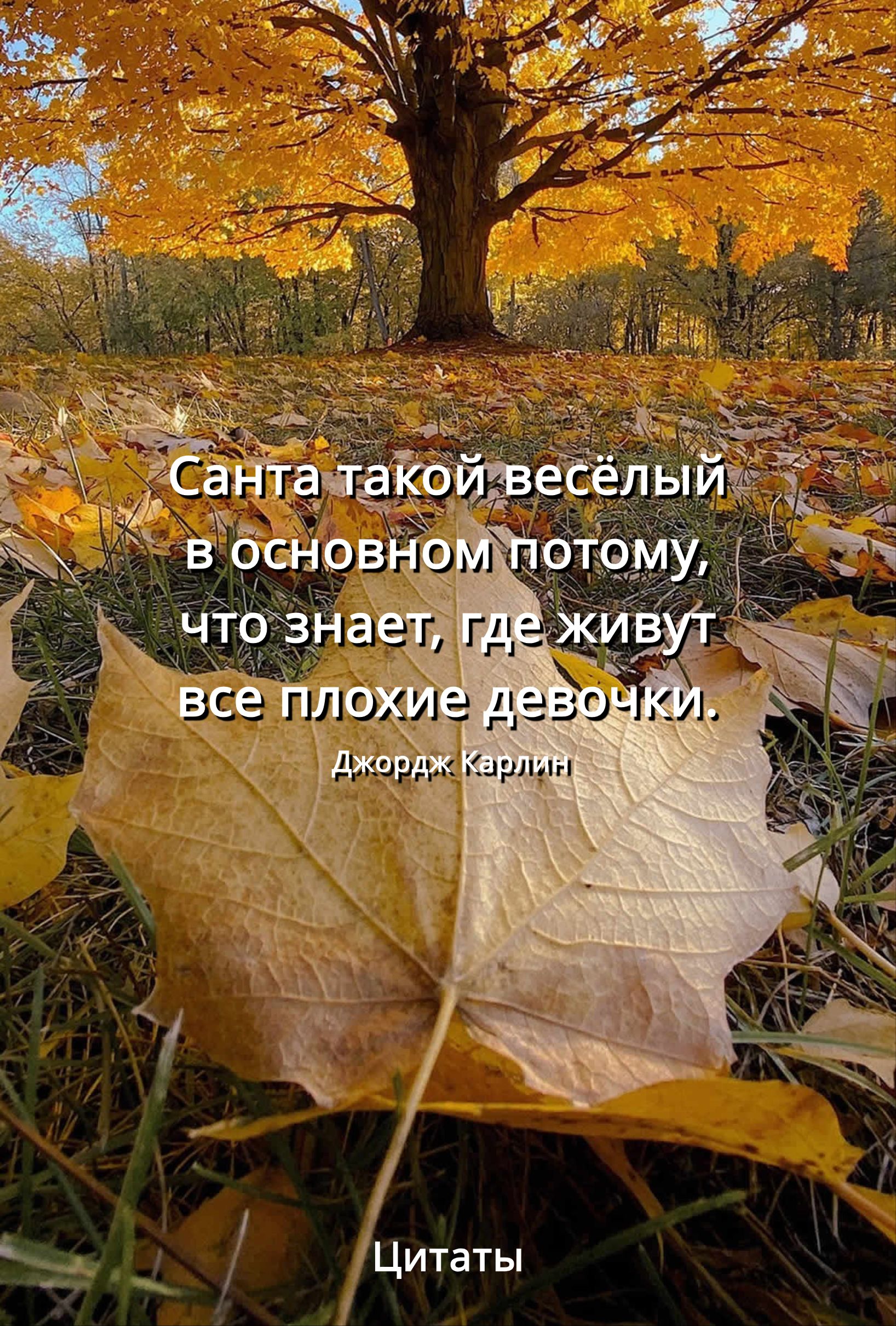 Санта такой весёлый
в основном потому,
что знает, где живут
все плохие девочки.

Джордж Карлин

Цитаты