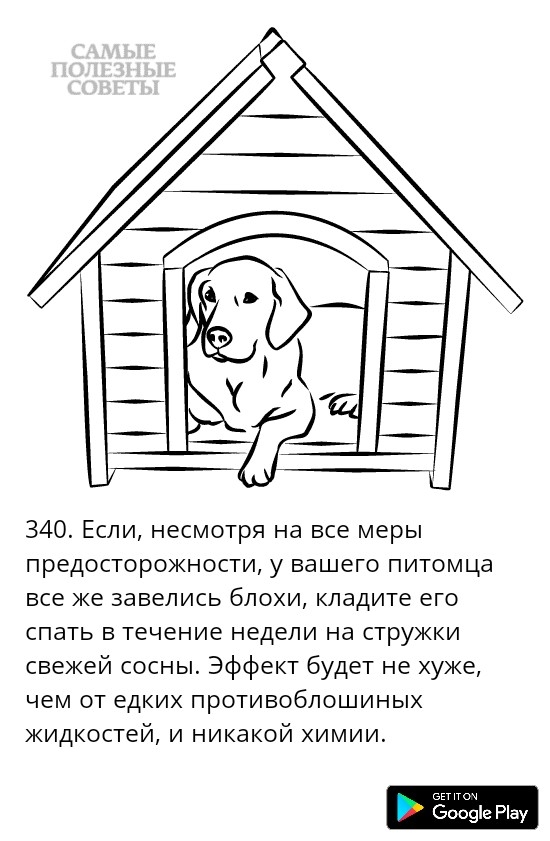 340 Если несмотря на все меры предосторожности у вашего питомца все же завелись блохи кладите его спать в течение недели на стружки свежей сосны Эффект будет не хуже чем от едки противоблошиных жидкостей и никакой имии Оооэіе Рау