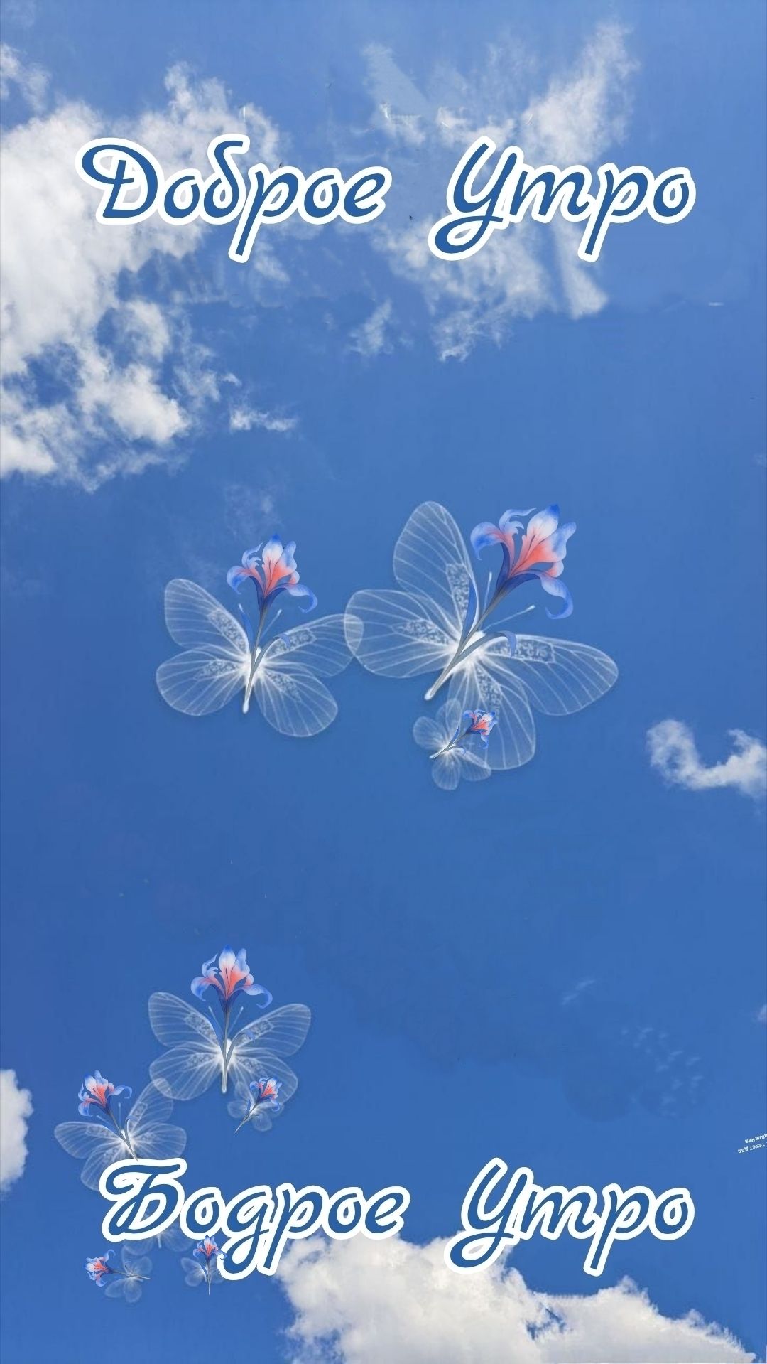 Доброе Утро
Доброе Утро