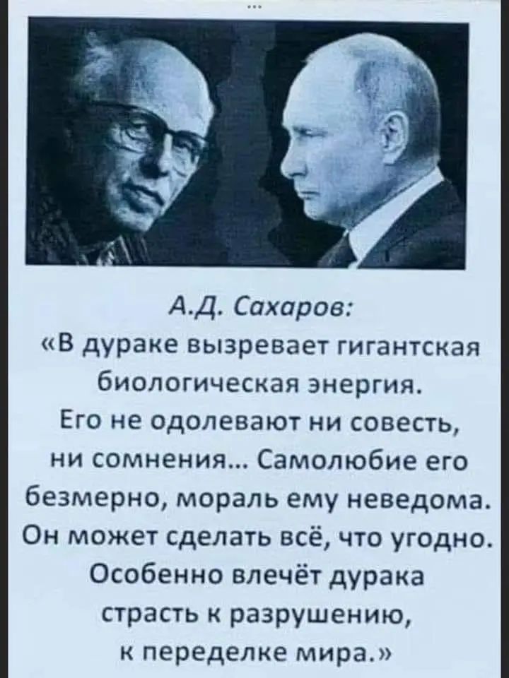 А.Д. Сахаров: «В дураке вырождается гигантская биологическая энергия. Его не одолевают ни совесть, ни сомнения... Самолюбие его безмерно, мораль ему неведома. Он может сделать всё, что угодно. Особенно влечёт дурака страсть к разрушению, к переделке мира.»