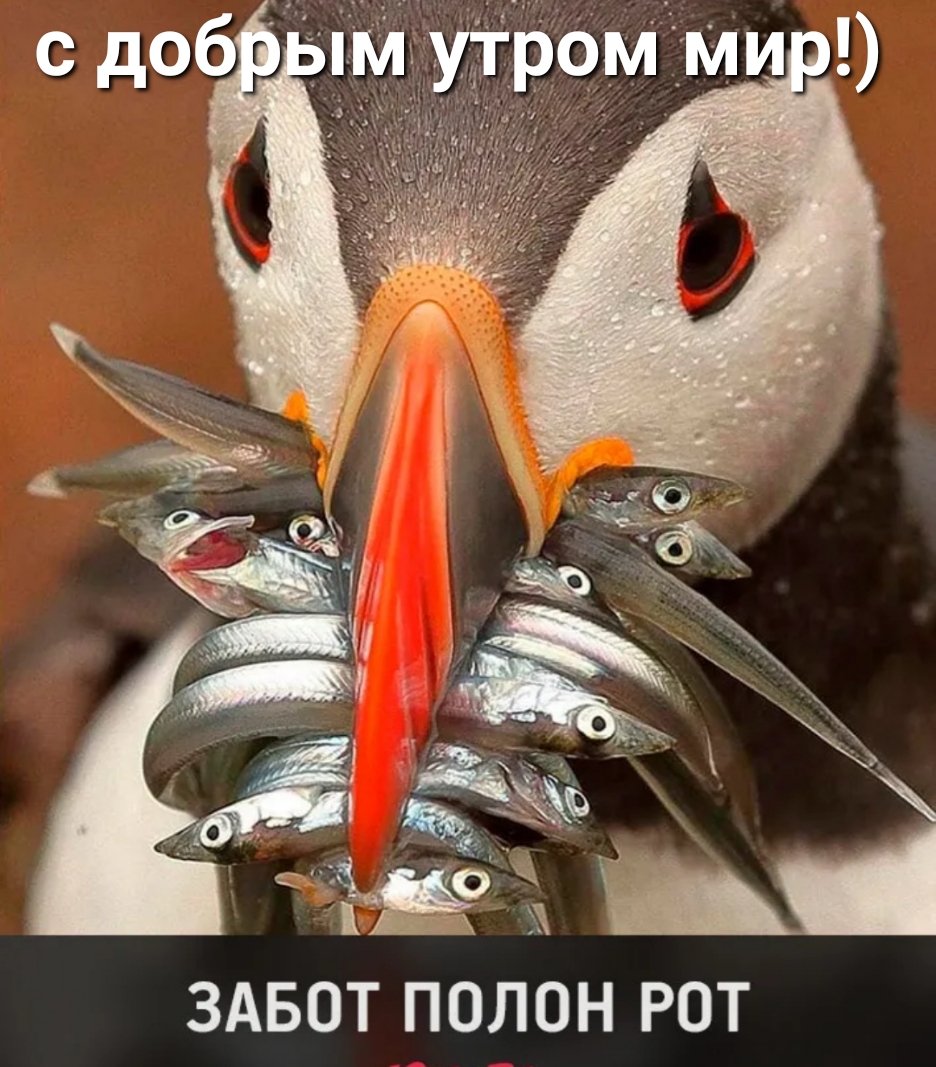 г ЗАБОТ ПОЛОН РОТ