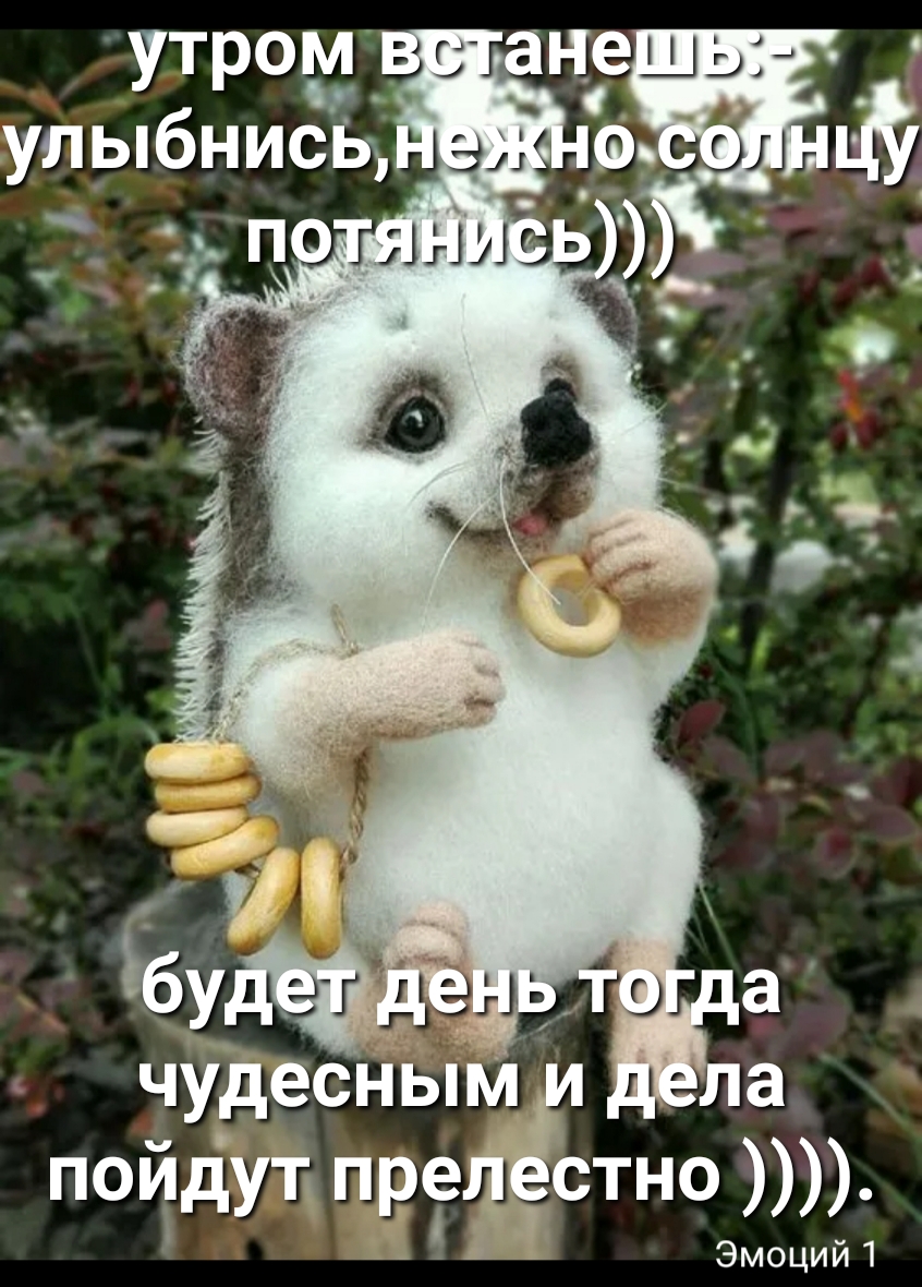 чудесны пойдуп преЖТНО Эмоций 1