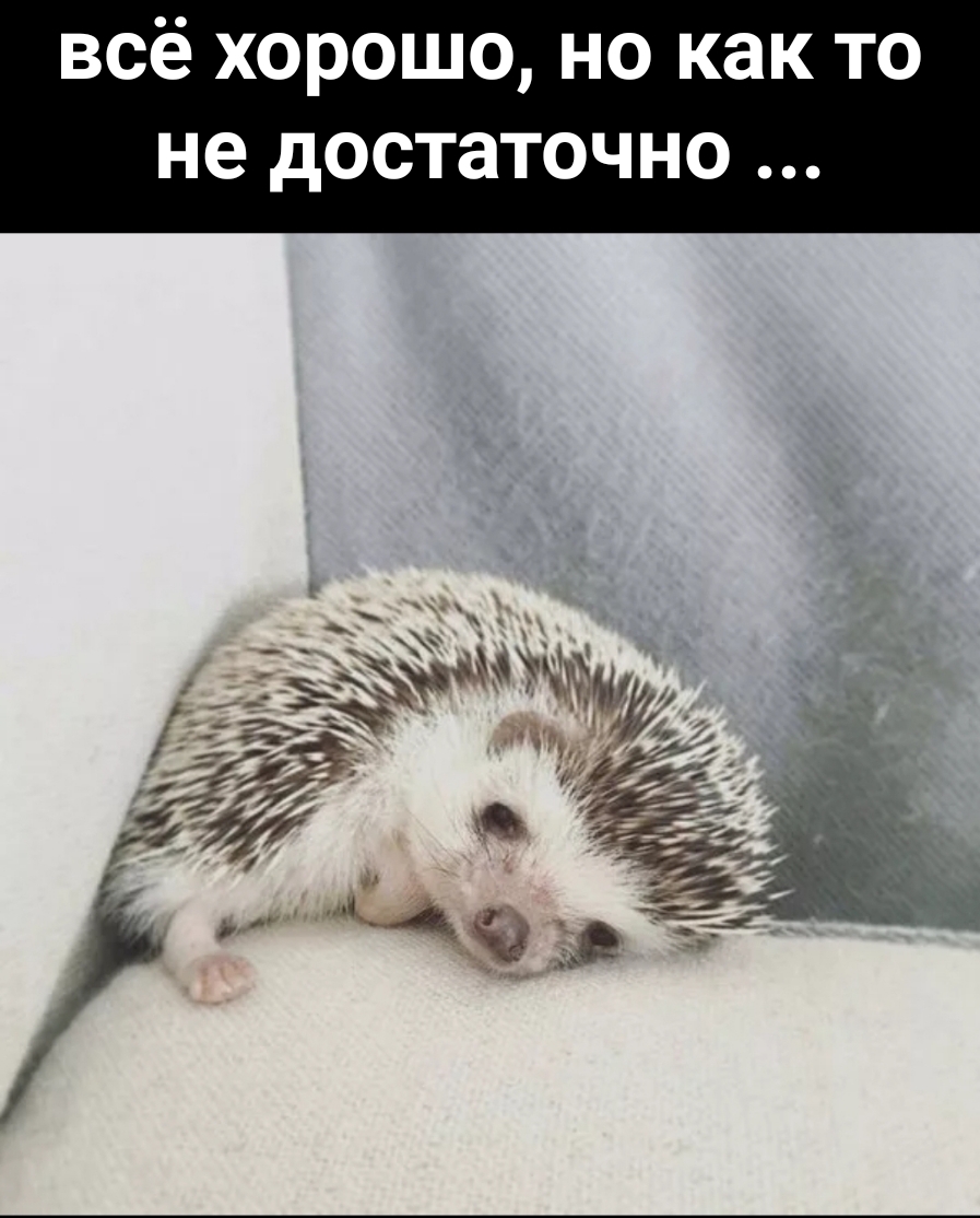 всё хорошо но как то не достаточно