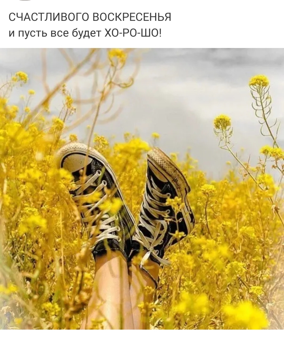 СЧАСТЛИВОГО ВОСКРЕСЕНЬЯ и пусть все будет ХО РО ШО
