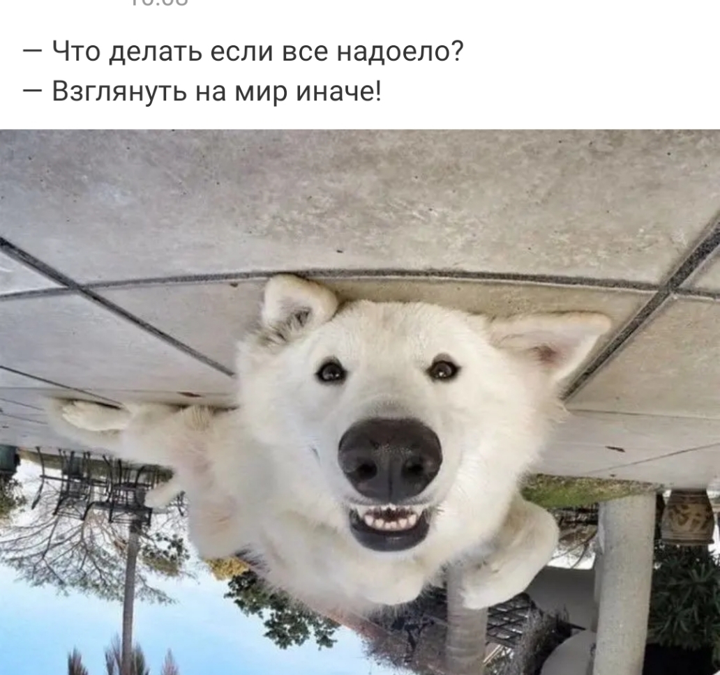 Что делать если все надоело Взглянуть на мир иначе д3